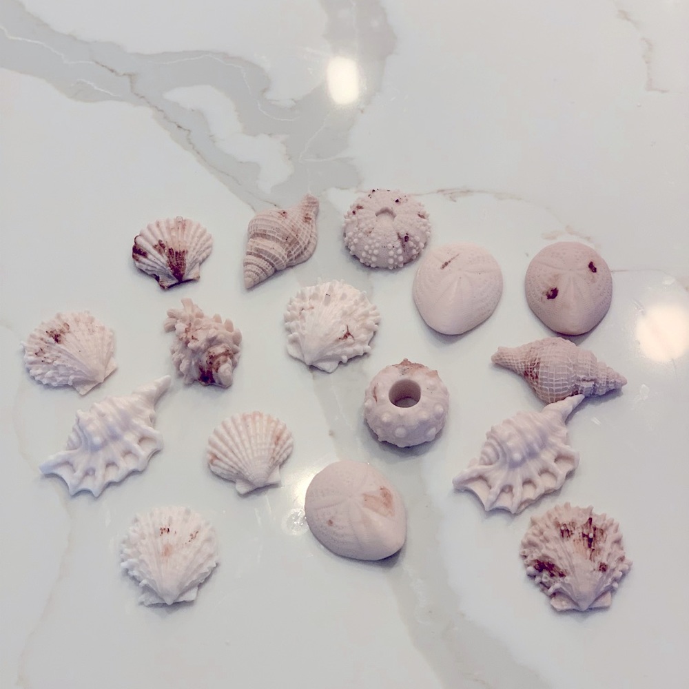 seashell soaps